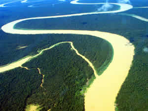 Ecossitemas Brasileiros Ecossitemas Brasileiros