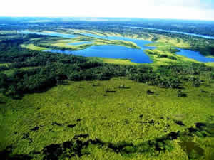 Ecossitemas Brasileiros Bioma Pantanal