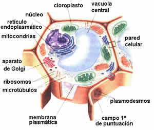 Quimica