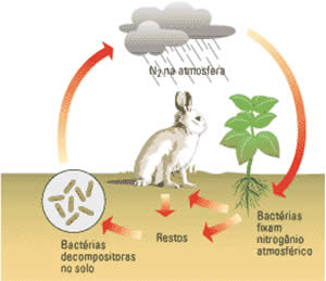 ciclo-3 Natureza