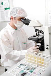 evidencias-de-violencia-1 Cientistas