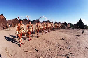 indio-2 Descendentes