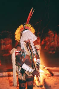 indio-3 Único Grupo Ancestral