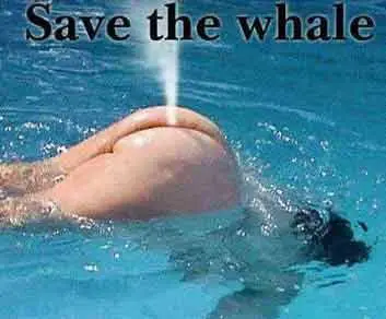 Salvem as Baleias