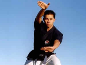 Taekondo Artes Marciais