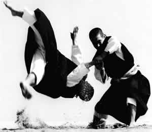 Taekondo Luta Marcial