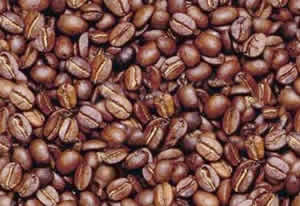 Café Novidade sobre Café