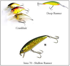 Isca Artificial Pesca