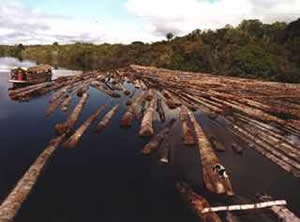 impacto-ambientais-3 Brasil