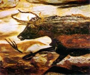 Pré-História Fóssil