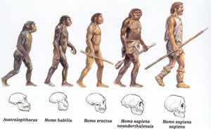 Pré-História Evolução Humana