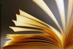 Cartas entre Amigos Livro