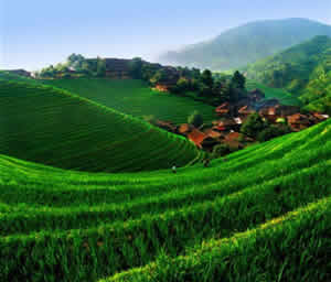 China Travel