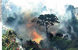 Emissão de Gases Poluentes