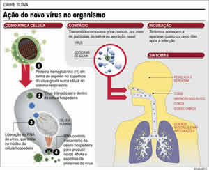 Causas Gripe Suína Causas Gripe Suína