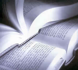 Linguagem do Corpo Livros