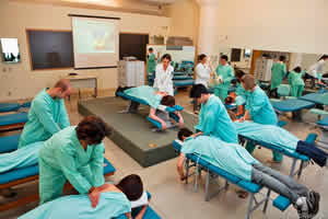 Quiropraxia Curso