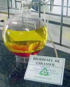biodisel-1 Biodisel