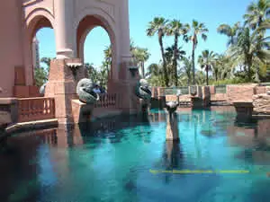 Bahamas Resort Bahamas Resort