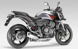 Hornet 2009 Hornet 2009