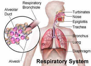 Pneumonia Viral