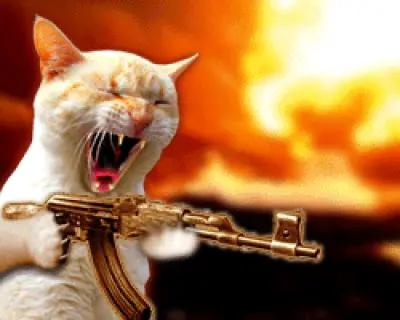 Gato Psicopata Gato Psicopata
