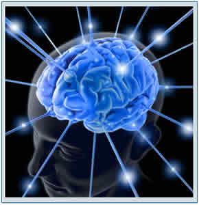 neurologia-1 Clinica