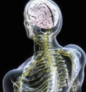 neurologia-3 Neurologia