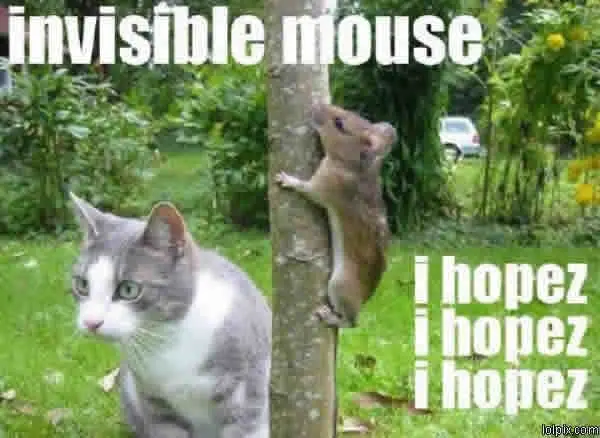 Rato invisível