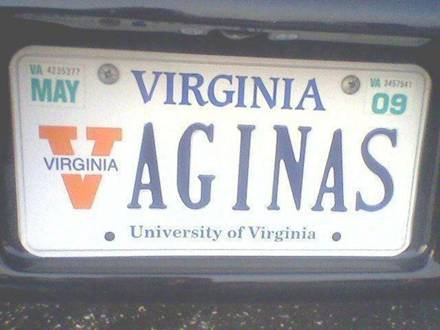 Vaginas de Virginia
