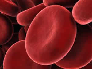 Dieta do Sangue Dieta do Sangue