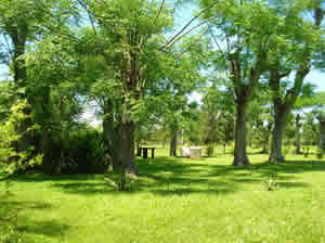Natureza Natureza