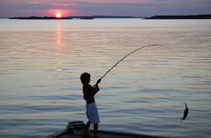 Pesca Pesca