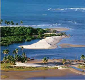 Pacotes de Viagem Pacotes de Viagem