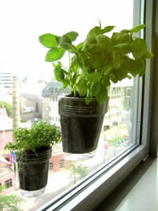 horta-2 Apartamento