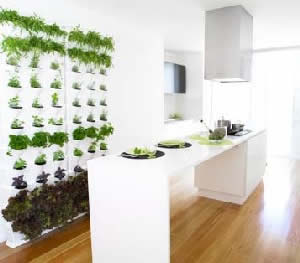 horta-3 Tenha Sua Horta Mesmo no Apartamento
