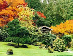 Jardim Bem Decorado Casas