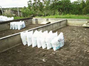 lodo-2 Foliar