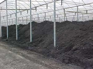 lodo-3 Lodo de Esgoto Como Adubo