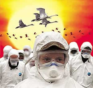 pandemia-2 Epidemia