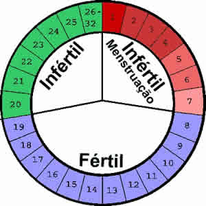 periodo-fertil-3 Engravidar