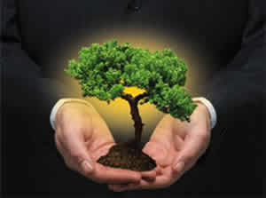 Projetos Sustentáveis Sustentabilidade