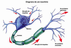 sistema-3 Doença