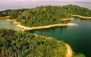 Biodiversidade Conservação