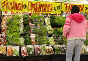 estudo-1 Mercado