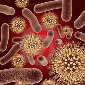 Bacteriana