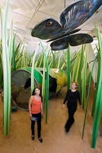 museu-1 Turismo