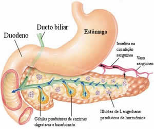 Doença do Pâncreas