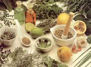 Plantas Medicinais Plantas Medicinais