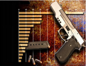 Registro de Armas Registro de Armas